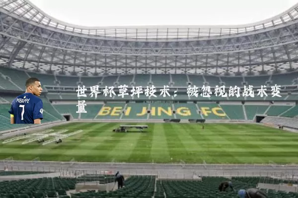 世界杯草坪技术:被忽视的战术变量